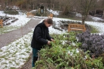 Ani první sníh nebrání paní Iloně v péči o zahradu