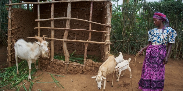 Stádo koz a vkladní knížka – pomoc dětem ve Rwandě