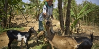 Stádo koz a vkladní knížka – pomoc dětem ve Rwandě