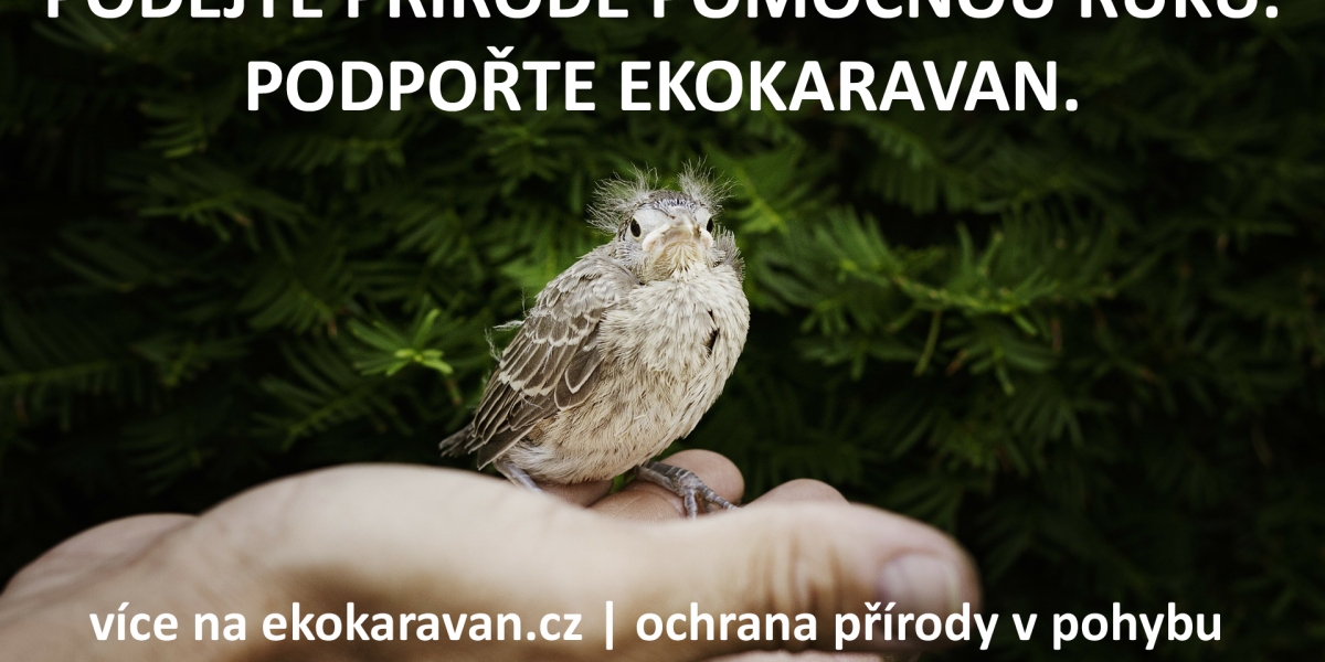EKOKARAVAN.cz - ochrana přírody v pohybu
