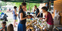 Festiválek Všemi Vjemy - U Tří Veverek Hradec Králové 18. 5. 2019