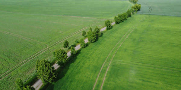 Sbírka