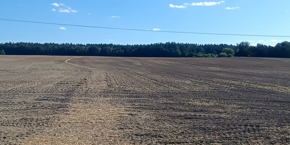 Výsadba stromořadí z Babic do Strašína