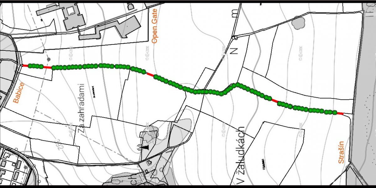 Výsadba stromořadí z Babic do Strašína