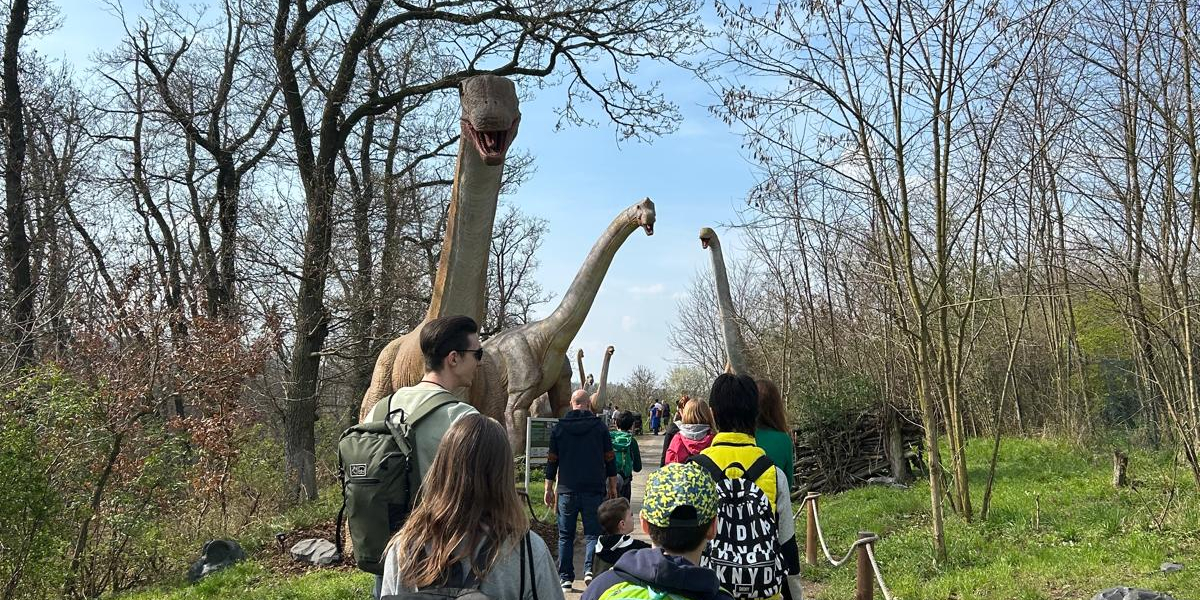 Poznávací výlety pro děti se speciálními potřebami
