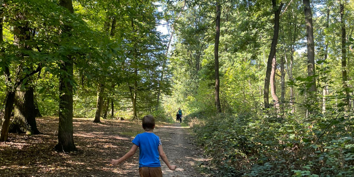 Poznávací výlety pro děti se speciálními potřebami