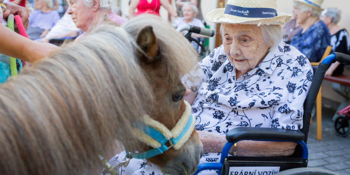 Valentýnská sbírka pro Domov Sue Ryder